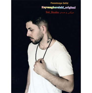 کیوان قریشی پرستوی سفید